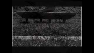 Dziwny jest ten świat- Stanisław Sojka