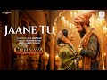Jaane Tu Chhaava Vicky Kaushal Rashmika Mandanna A R Rahman Arijit Singh Irshad Kamil