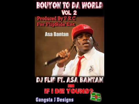 Dj Flip ft Asa Bantan   If I Die Young