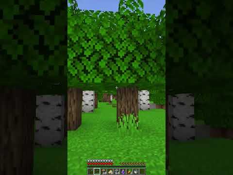 Minecraft Scary Video #shorts