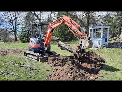 Kubota U25 Excavator in action taking out two Pear Trees