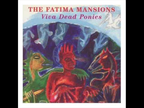 Fatima Mansions Viva Dead Ponies, Live in the US
