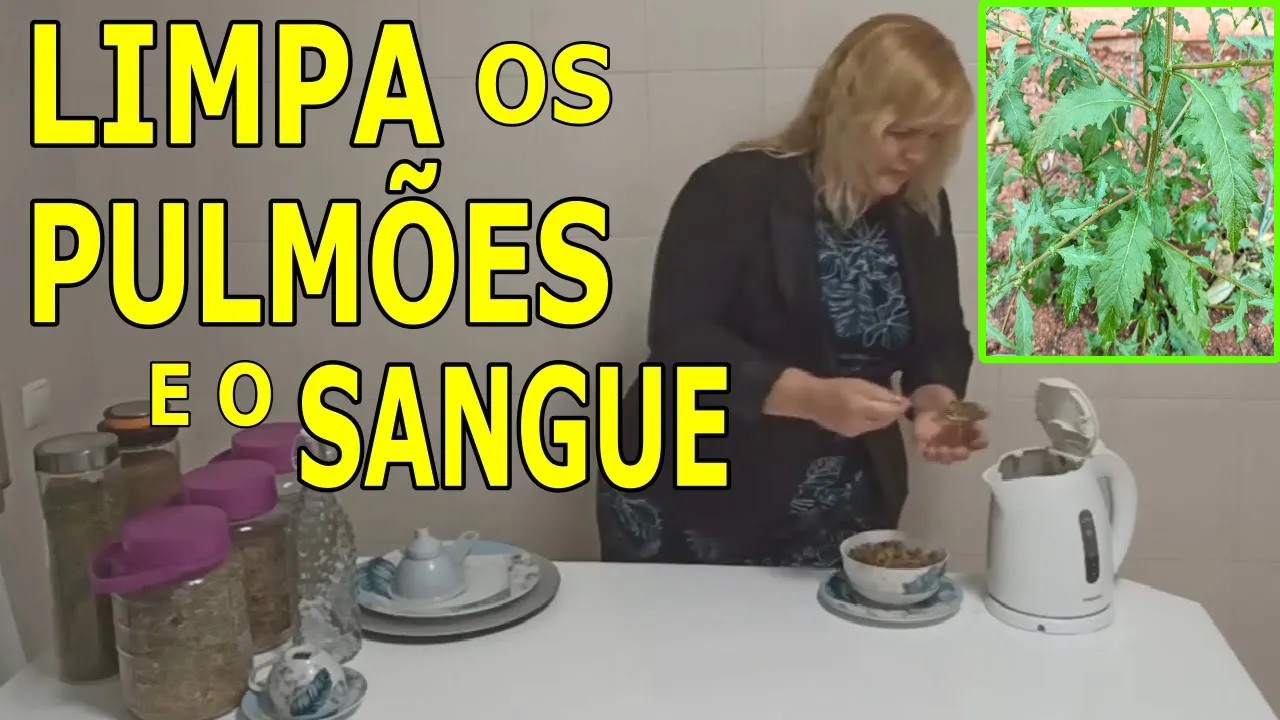 Limpa os Pulmões e o Sangue! Tosses, Gripes, Bronquites…  (3 Receitas) 💖 MARILENE SARAH FIALHO