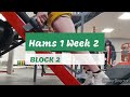 DVTV: Block 2 Hams 1 Wk 2