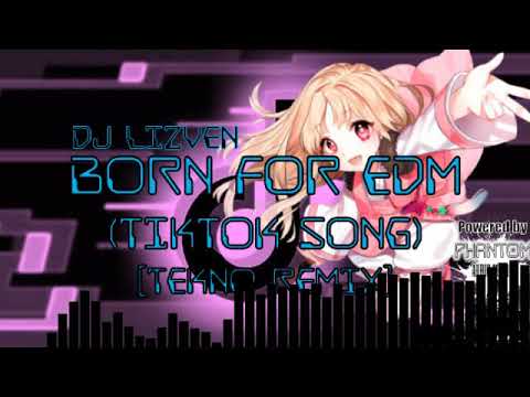 Dj Lizven -  Born For EDM (Tiktok Song) [Tekno Remix]