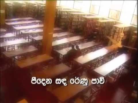 SEETHALA PINI BINDU - Best Sri Lankan Music Video