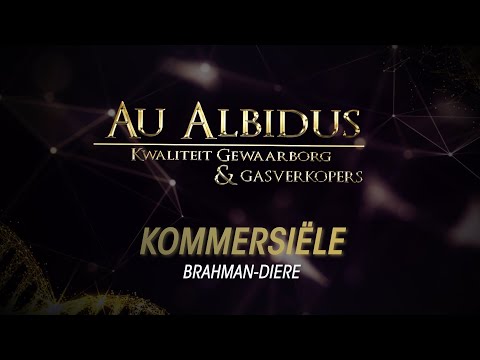 Au Albidus - Kommersiële Diere (Oktober 2022)