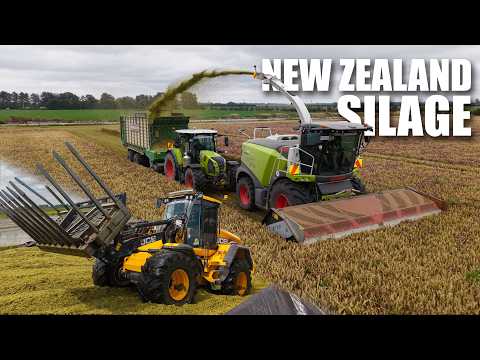 Harris Contracting | Claas Jaguar 960 Chopping Wholecrop Silage