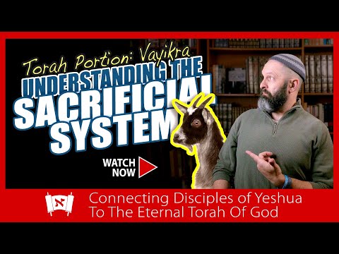 Understanding the Sacrificial System | Messianic Commentary on Torah Portion Vaykira