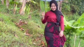 Download lagu TERPESONA MELIHAT KECANTIKAN DAN KELEMBUTAN KEMBANG DESA YANG HIDUP SEDERHANA DI PERKAMPUNGAN mp3