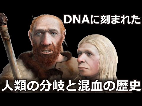 複雑な人類の家系図: ネアンデルタール人はこうやって私たちを利用した