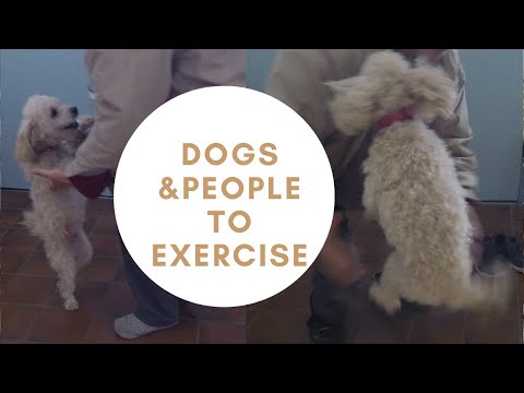 Dogs and people to exercise in rainy season #GeniusAsianDanceChallenge