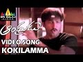 Andhrudu Video Songs Kokilamma Video Song Gopichand Gowri Pandit Sri Balaji Video