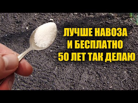 , title : '1 Ложка на Ведро Воды и Земля Как Новая! Пролейте этим землю для обильного урожая всего!'