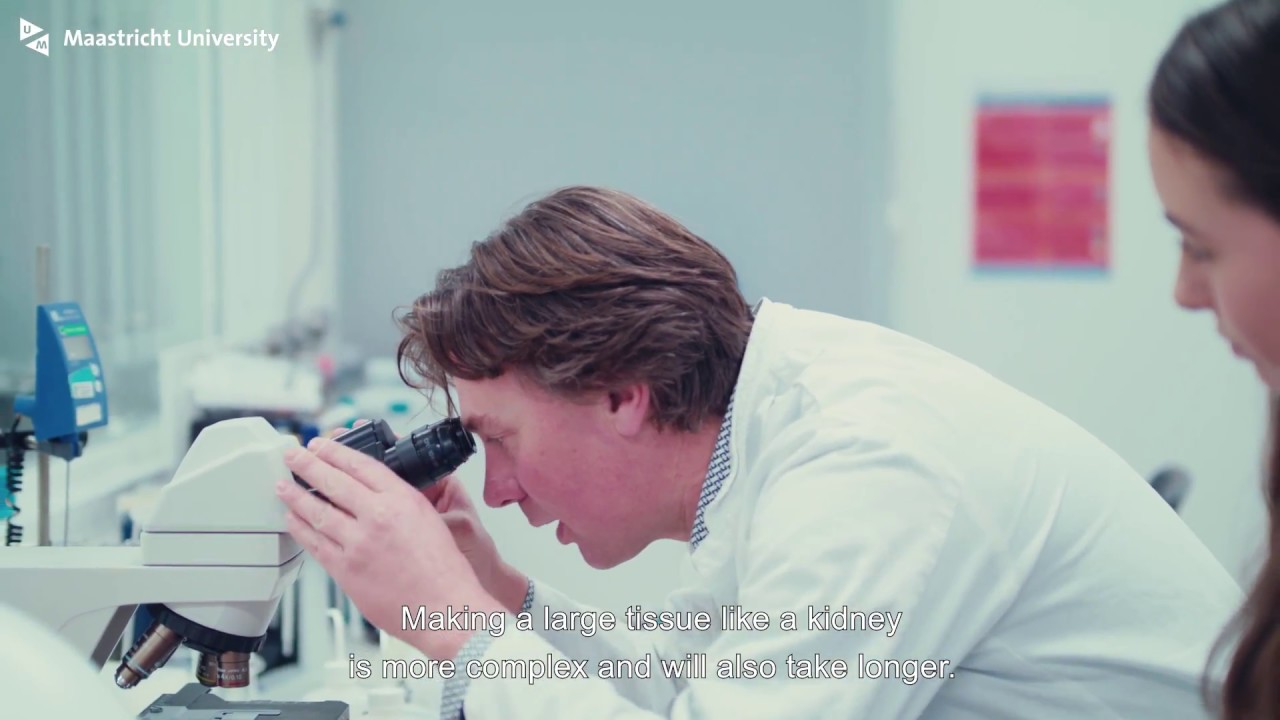 MSc Biomedical Sciences: specialisation Regenerative Medicine