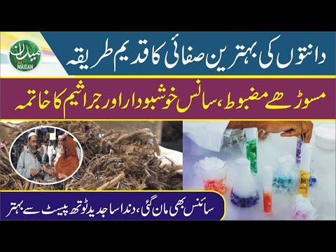 The Natural Toothbrush of the World | Dandasa – A Forgotten Herbal Secret from Pakistan