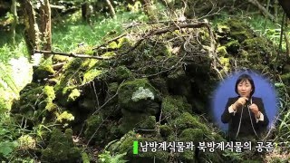 preview picture of video '생태관광, 에코힐링명소 제주교래자연휴양림_수화'