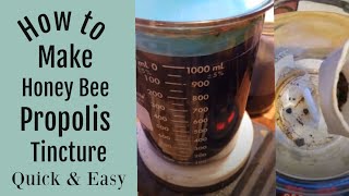 How to Make a Bee Propolis Tincture Quick and Easy