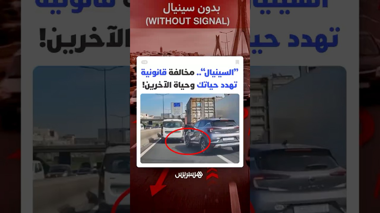 شكاوى متصاعدة من سلوكيات متهورة.. سيارات تغيّر مسارها دون "سينيال" وتحوّل الطرق إلى خطر يومي thumbnail