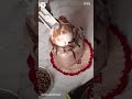 2 Ingredients Chocolate Milkshake