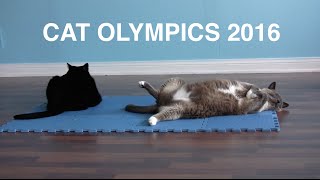 Cat Olympics