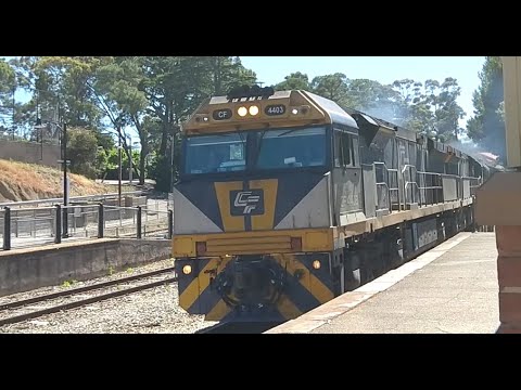 1MP9 With #CF4403 #CF4410 & #CSR008 Thru Belair