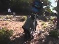 Tupac Pac S Life Videoshoot Mp4