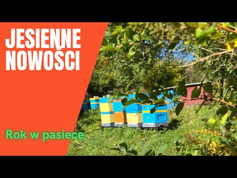 Rok w pasiece - jesienne nowości