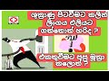 ලිංගිකව එකතුවෙනවනම් අනිවාර්යයෙන් බල�