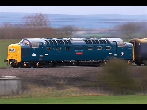 55009 Alycidon Deltic Borderer