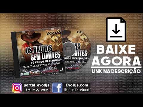 CD OS BRUTOS SEM LIMITES F250 EVS ✅  DJ FABRICIO SATISFACTION