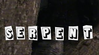 La Sécurité – “Serpent”