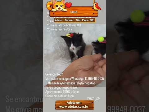 Vídeo de Luna