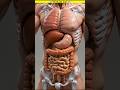 "Real Price of Human Body Parts 💀💰" #facts #didyouknow #human