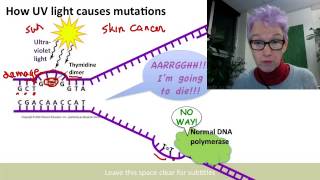 Error-prone polymerase.mp4