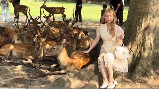 神鹿水飲んでる鹿が可愛い🫎 外国人観光客も釘付け💖 (奈良公園) Deer Nara Park in Japan | Japan Vlog in Nara 💕😍