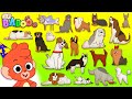 Animal ABC Learn The Alphabet A To Z With Cartoon Dogs D Is For Dog Abcd For Kids