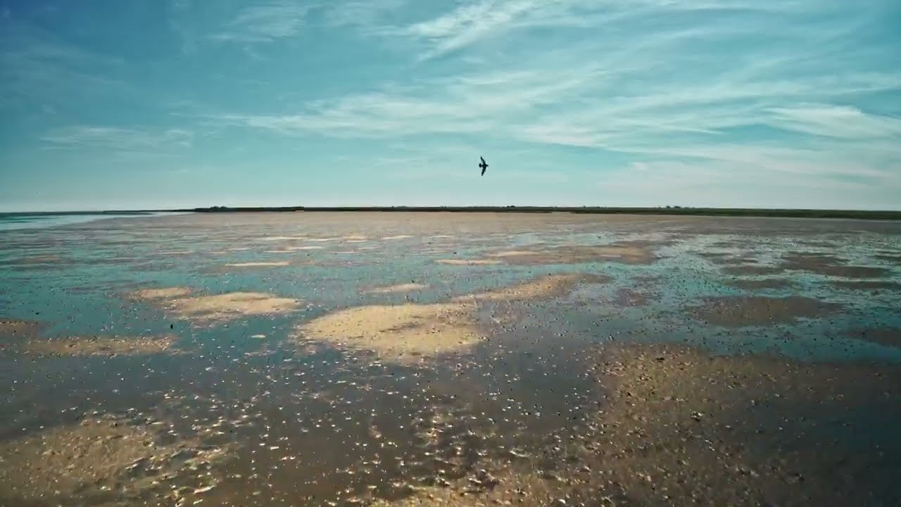 Reiseziel Süddänische Nordsee – Kernaussage