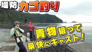 GO!GO!九ちゃんフィッシング #496「回遊シーズン到来！堤防から青物のカゴ釣り」