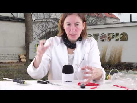 23 december: fågelfröexperimentet!