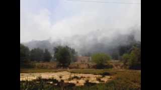 preview picture of video 'Bushfire near Kota Kinabalu Industrial Park near Kota Kinabalu City.'
