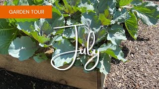 July Raised Bed Garden Tour | EverCrest