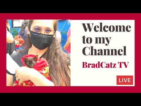 Have a great first day of October everyone! | Take two | BradCatz TV