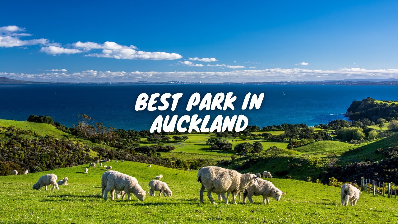 Join a perfect tour around the Shakespear Regional Park