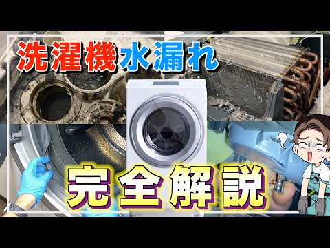 水浸し: 原因と予防 トピックス