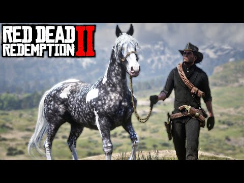 RED DEAD REDEMPTION 2 #63 | MEU NOVO CAVALO e OS ANIMAIS LENDÁRIOS!