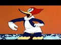 Woody Woodpecker Classic Beach Nut Woody Woodpecker Full Episode Old Cartoons Videos For Kids