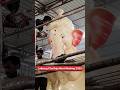 Lalbaug Cha Raja 2025 Murti Making First Look Shorts