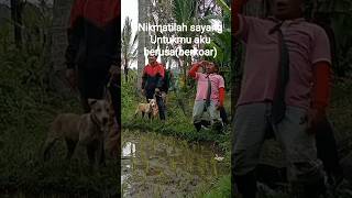 Download lagu shouting all for you #fun #funny #unique #laughing mp3