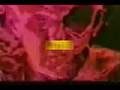 Stone Roses - Don't Stop (video)